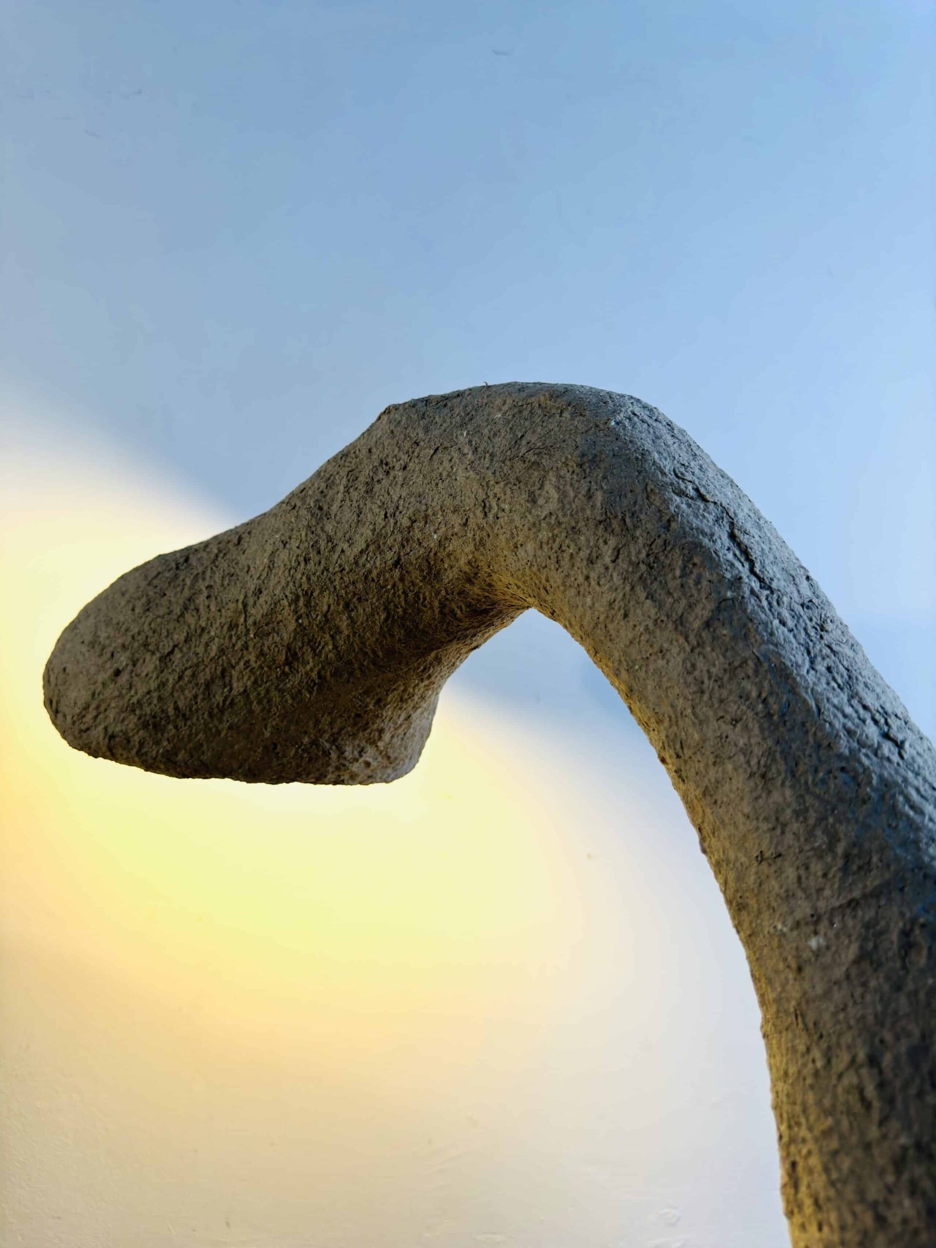 Custom Image